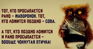 И вновь ДоброУтраДеньиВечер😁