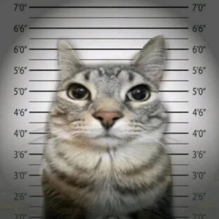 Сериал "Изоляция"