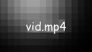 vid.mp4