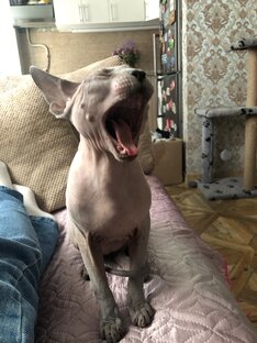 сладкие персики😻♥️