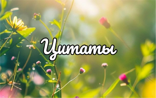 Цитаты