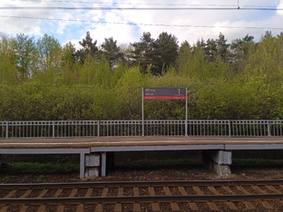 пл. 49 км Казанского направления МЖД. 