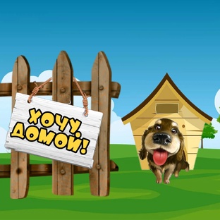 🏡Рубрика "ХОЧУ ДОМОЙ!"🏡