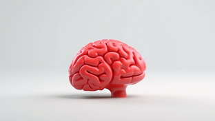 Психология