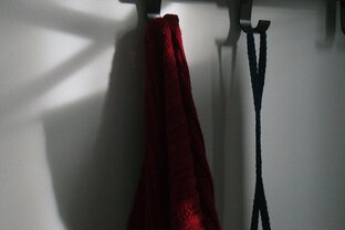 Вена - столица моего сердца