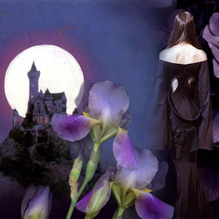 Для любителей темных ароматов