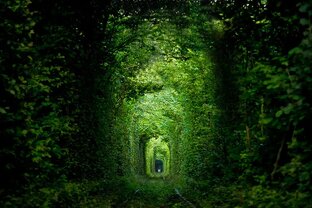 "Стихи" и ("Стихи" для песен.)