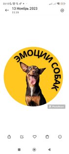 Эмоции