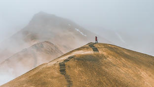 ПРАКТИКИ И ШАГИ