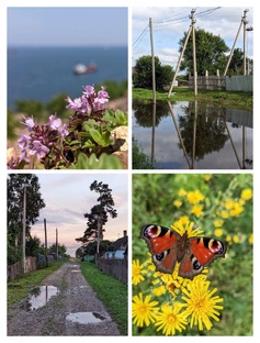 Поеду в деревню