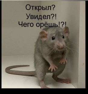 Видео личного содержания. 