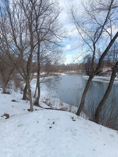 КУРСК ХУДОЖЕСТВЕННЫЙ 