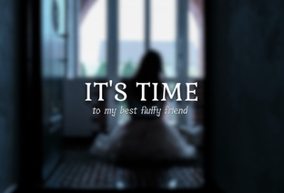 Автопортреты