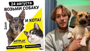 Всем По Собаке - 24 Августа / Москва