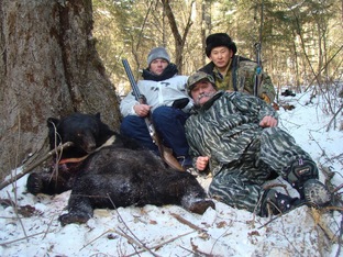 охота медведь гималайский 