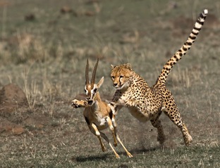 Страхи и тревога