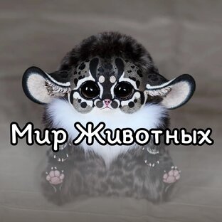 Тайная жизнь братьев наших меньших: удивительные и неизвестные факты о животных