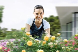 Лечим растения без паники