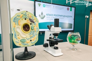 Образование в Центральном районе