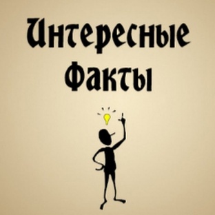 🔍 Интересные факты