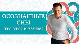 Ваши вопросы 🧬 ИНСТРУКЦИЯ К ЧЕЛОВЕКУ