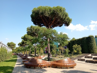 Краснодар для прогулок и отдыха 