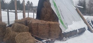 Работы по хозяйству. И дела домашние 