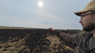 Приборный поиск 2025