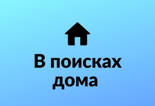 В добрые руки - поиск дома