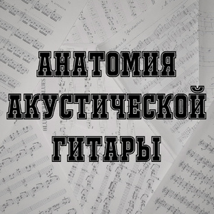 Анатомия акустической гитары
