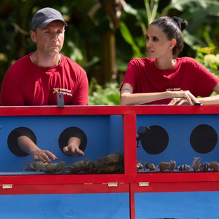 Шоу "Звезды в джунглях"