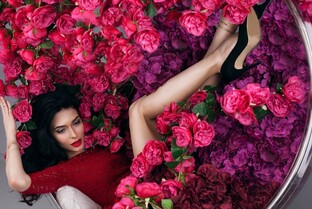 Розы-моя любовь