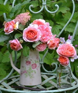Mon jardin 