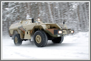 СИНЕЕ НЕБО, БЕЛЫЙ СКАКУН