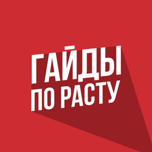 Гайды по rust.