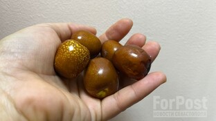 СМИ о крымском зизфусе.