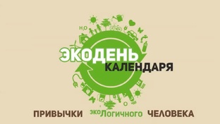 ЭкоЛогичное мышление