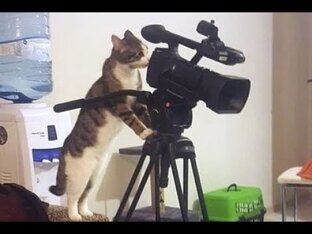 Политика и социум