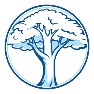 Растения рекордсмены