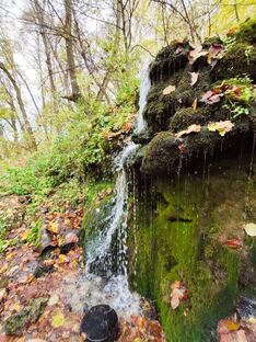 Красота природы