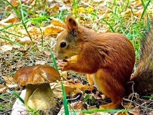 Заметки о разном