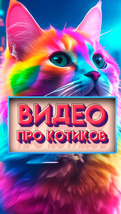 Видео про котиков
