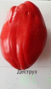 Красноплодные сорта томатов