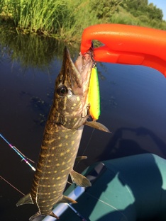 Рыбалка на щуку