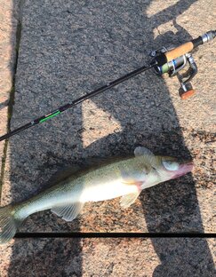 Всем трофеев, от Влад ими! 