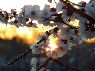 Все видео здесь