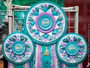 Выставка, Рейтинг, Титулы.