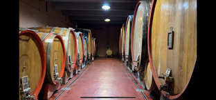 Гастрономические туры по Италии 