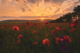 Прогулки и Путешествия по России