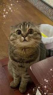 Смех без границ: подборка самых угарных роликов